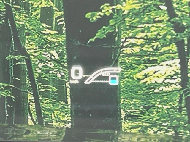 26968610_carP_l_14.jpg