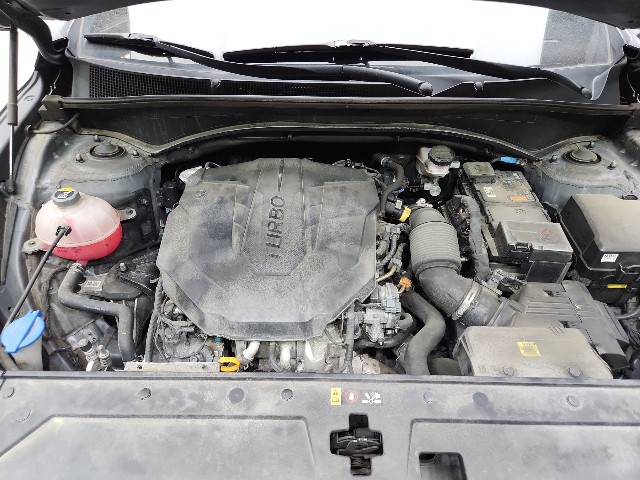 lotterental_150141378_Mm67Z_9.jpg