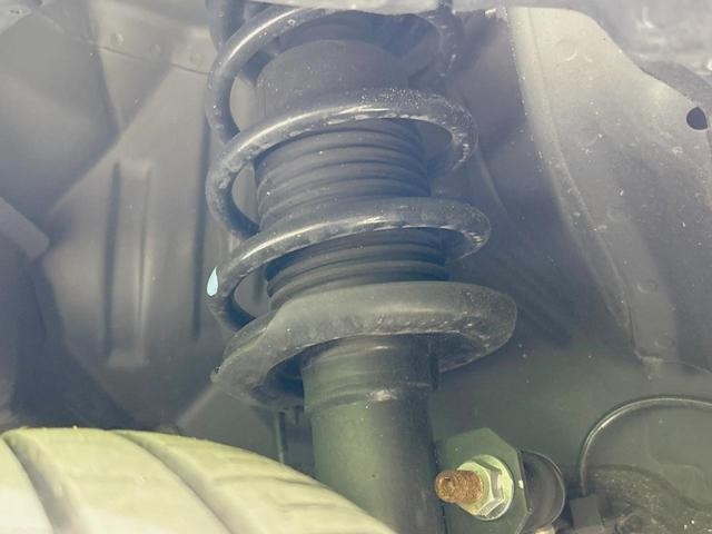 27052281_carP_l_20.jpg