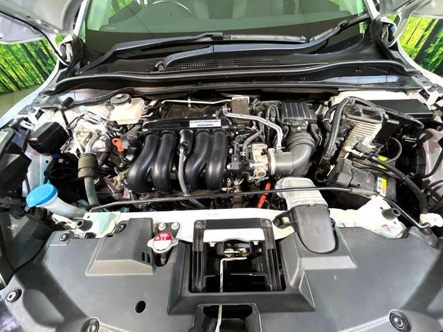 9337ffb6fc2355cb366b08743eca017a.jpg