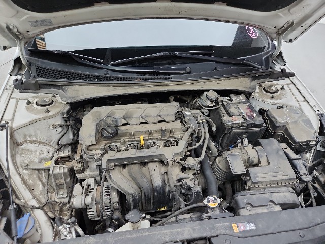 lotterental_144205459_c0LI6_1.jpg