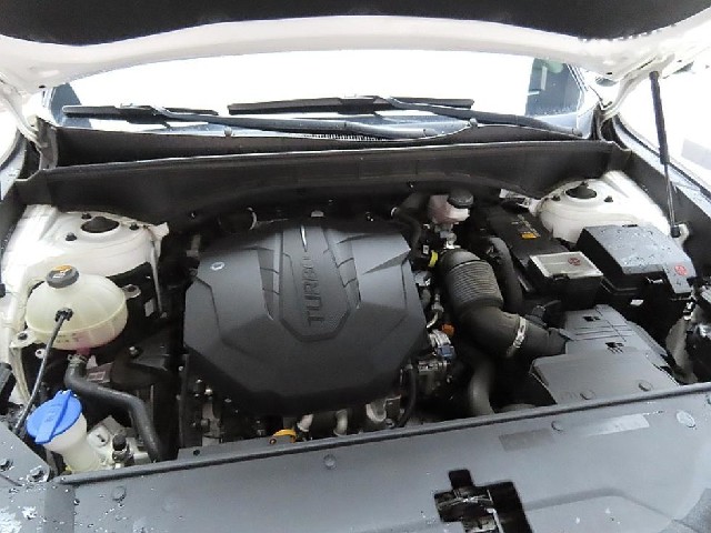e1ed700209a46cee55b121d22d30d88d.jpeg
