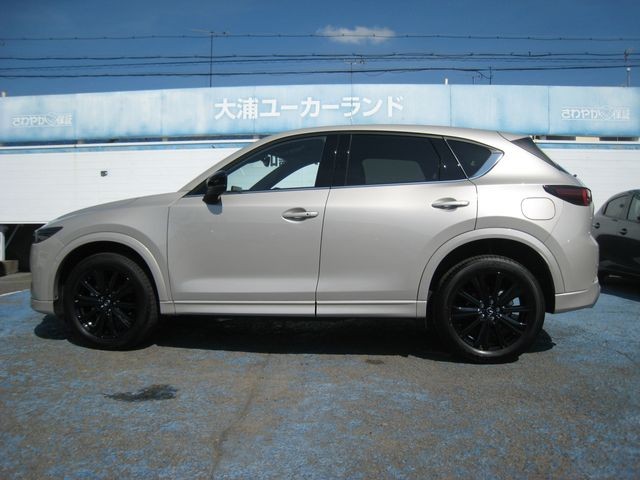 faf5c593948f1054cc824a3607667882.jpg