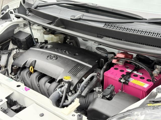 26905501_carP_l_20.jpg