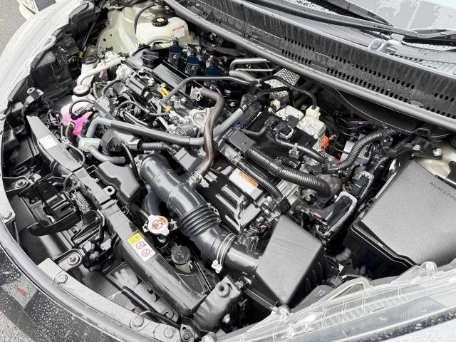 26905490_carP_l_20.jpg