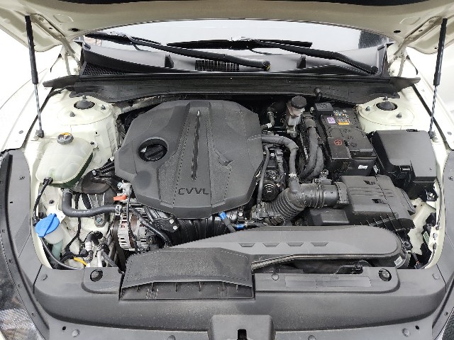 lotterental_141720192_QtHSZ_10.jpg