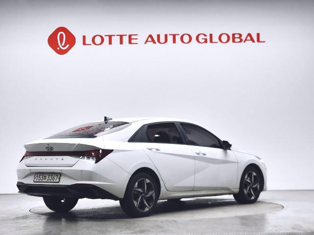 lotterental_172858936_p5iyy_5.jpg