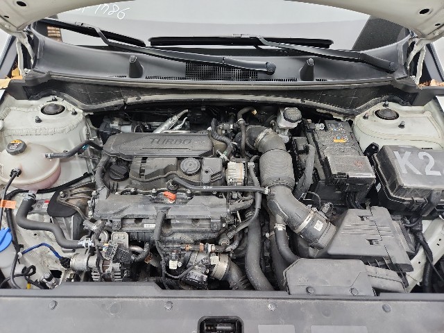 lotterental_093806120_1Tb5d_10.jpg