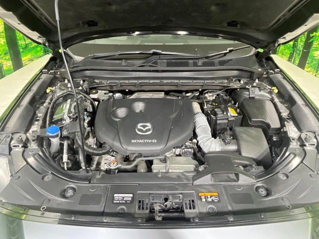 f5eee81e61f701f8dfa454b55e7910ee.jpg