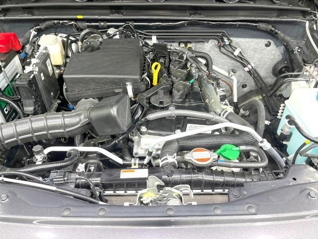 27052334_carP_l_12.jpg