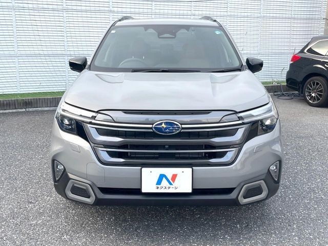275cab85ec007f95c4dc141eb1207c2a.jpg