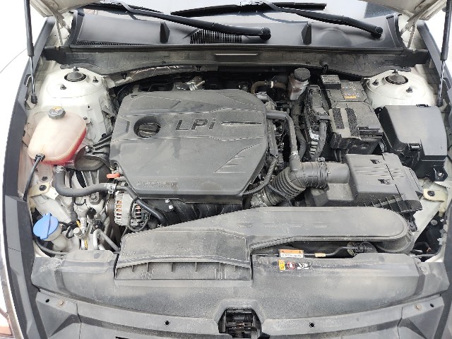 lotterental_112105450_j9imh_9.jpg
