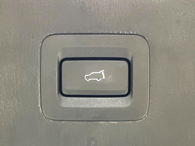 26751258_carP_l_13.jpg