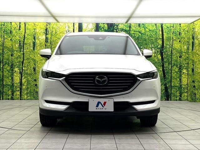 26751258_carP_l_9.jpg