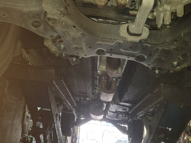 3663663a067a6b214c62525538684bd9.jpeg
