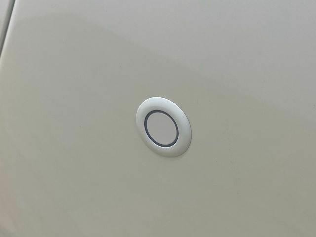 6300790A20261030D00404.jpg