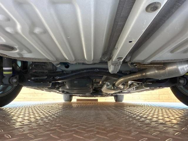 27052322_carP_l_20.jpg
