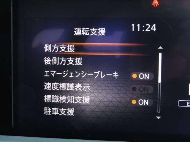 27007941_carP_l_14.jpg