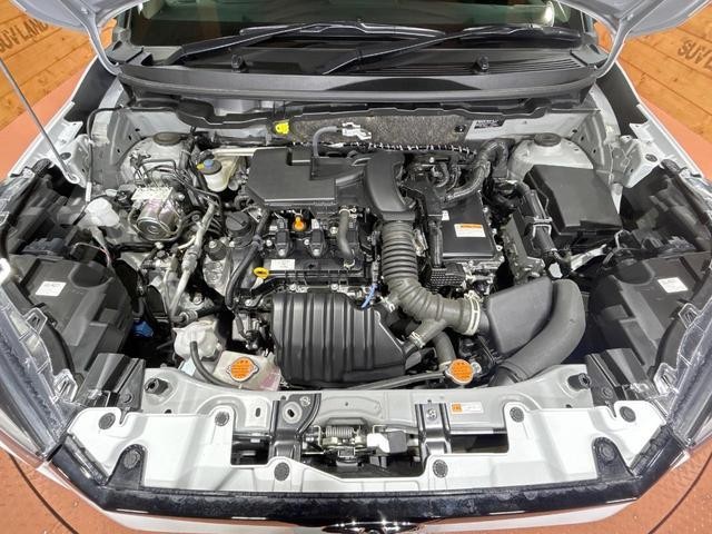 27072645_carP_l_18.jpg