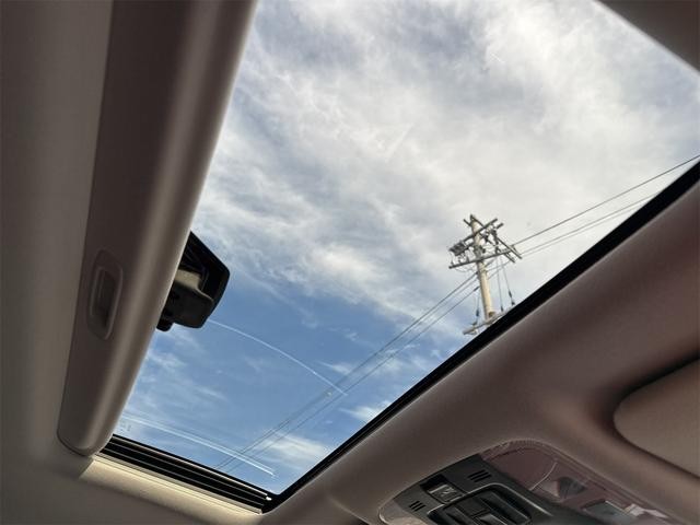 0705929A30261029W01801.jpg
