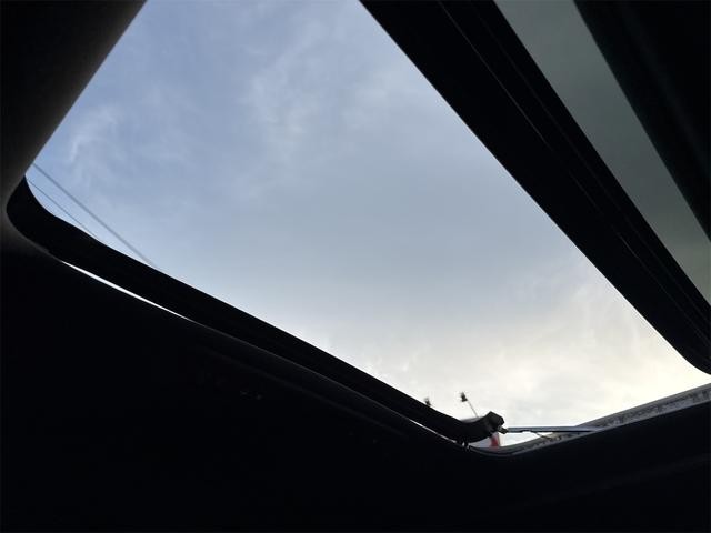 0705929A30261029W02201.jpg