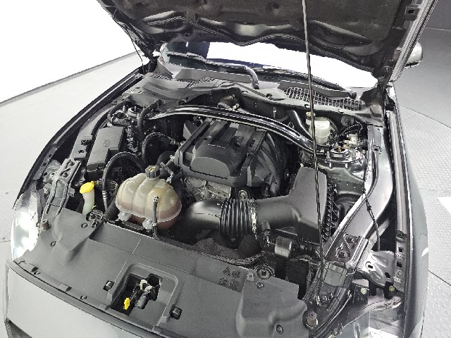 d418f8f2411ec4d214ca6af228e0d1ca.jpeg