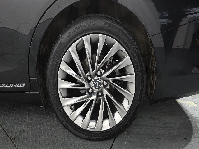 d340d7b23222ee9775709079cf27208c.jpeg