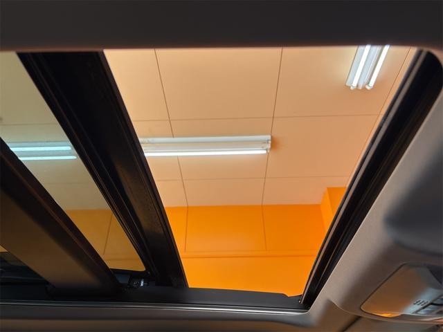 0705929A30261029W00902.jpg