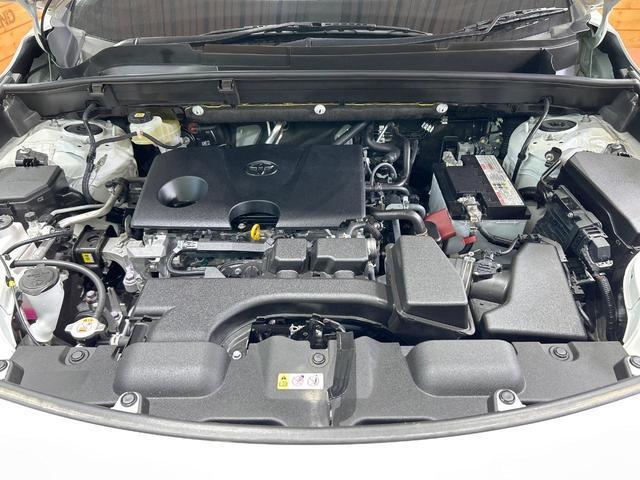 22975716_carP_l_18.jpg