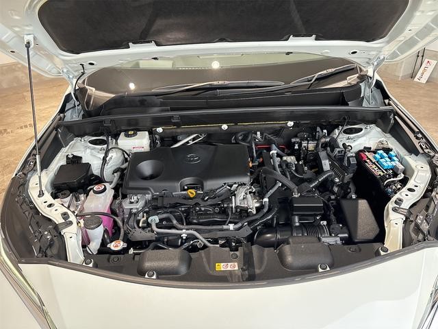 0701189A30261019W00619.jpg