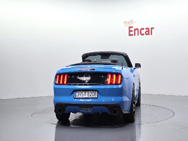 e9caa16cf47146cf86cfd7cb3008949e.jpeg