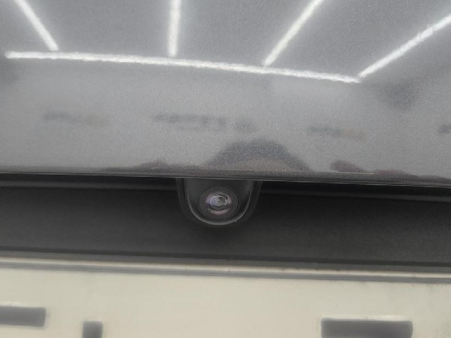 d176909bd3f371f83e71c9c6ddae4334.jpeg