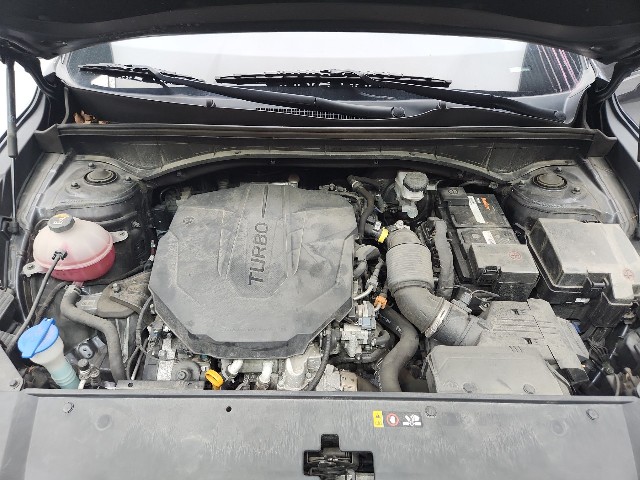 lotterental_160939509_86wZM_4.jpg