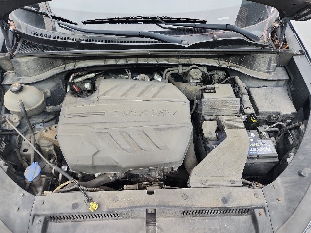 lotterental_225030598_LbrWU_10.jpg