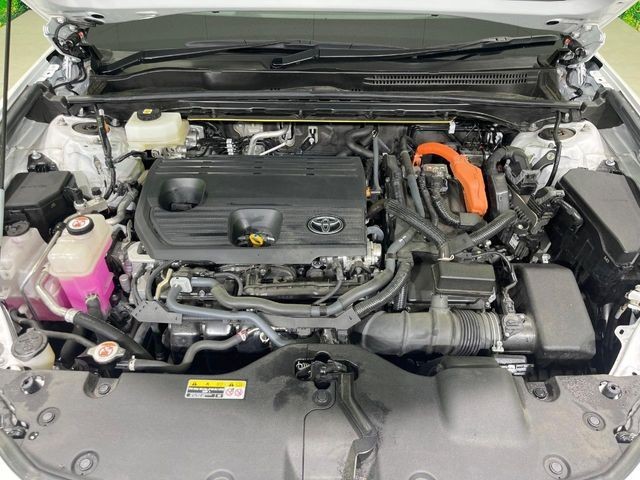c31ea2f76fc9571e8f99a95fc17aa9fd.jpg