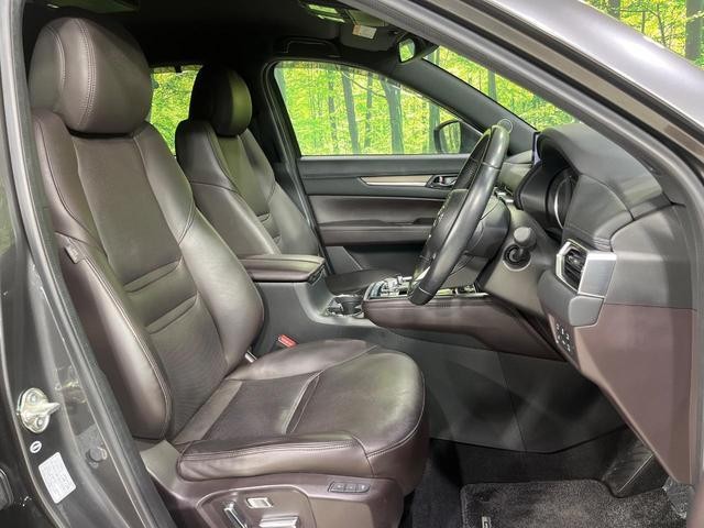 27011786_carP_l_19.jpg