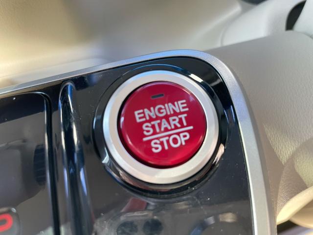 0203922A30250125W00117.jpg