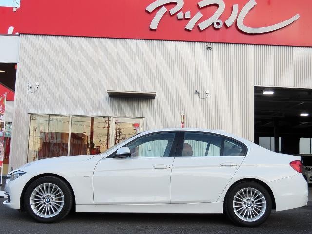 27067235_carP_l_5.jpg