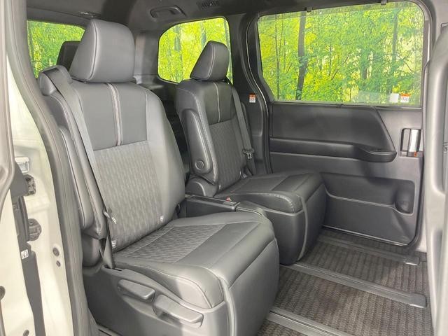 27052035_carP_l_19.jpg