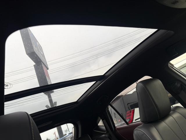 0900921A30261029W00117.jpg