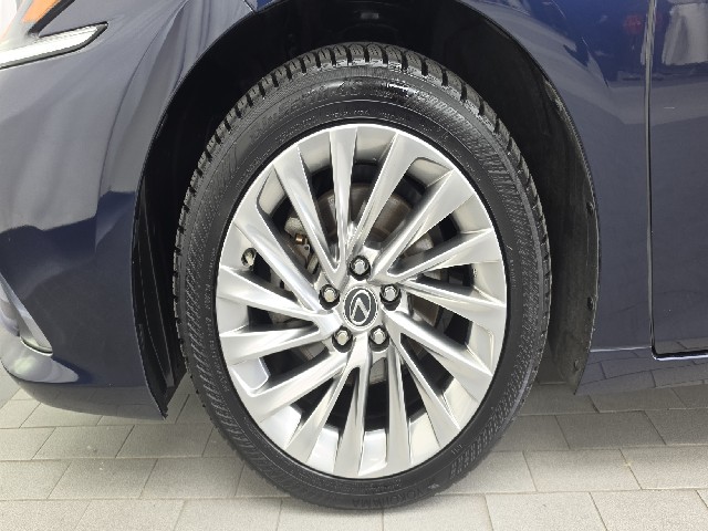 542050106df0ad703dc855936a5425fd.jpeg