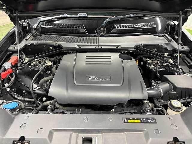 0208952A20261027D00313.jpg