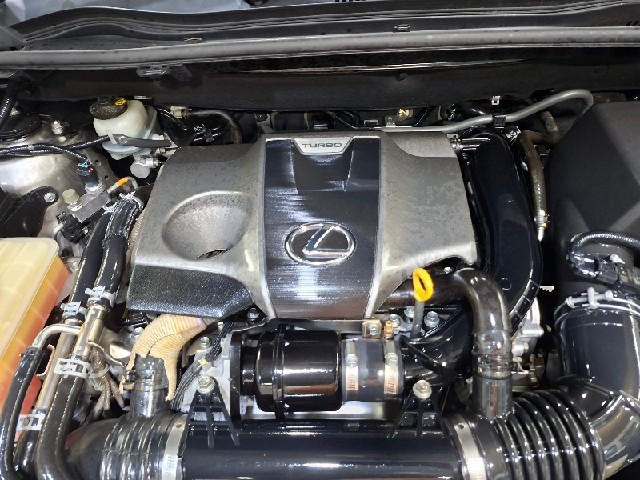 c812249ab1e5ffab7232d62d2f56c10f.jpeg