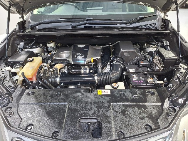 e405ab559ef516e22e6a36acbc70bd44.jpeg