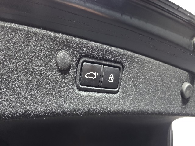 6a1190f30472cb2762a2e0feb3317b12.jpeg