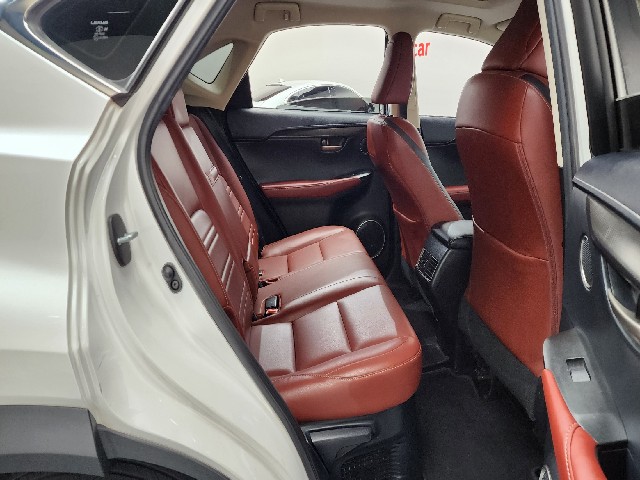 cab47ef9ac97a3838c3122cc3554a99e.jpeg