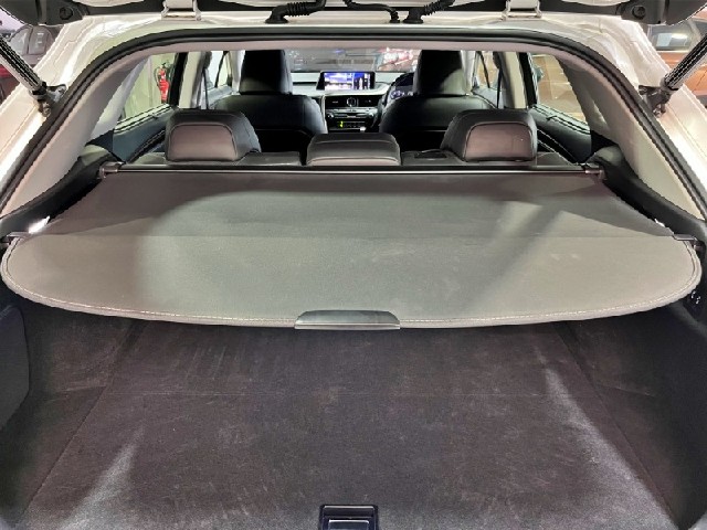 402dbb0ce63366e27f2e54b06ed26f48.jpeg
