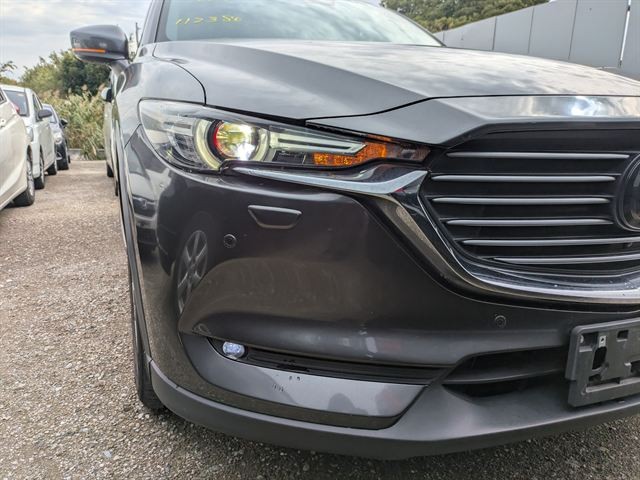 25.jpg