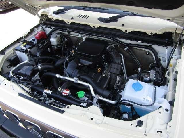 27028111_carP_l_7.jpg