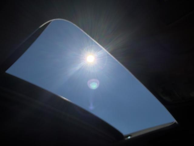 27052566_carP_l_10.jpg
